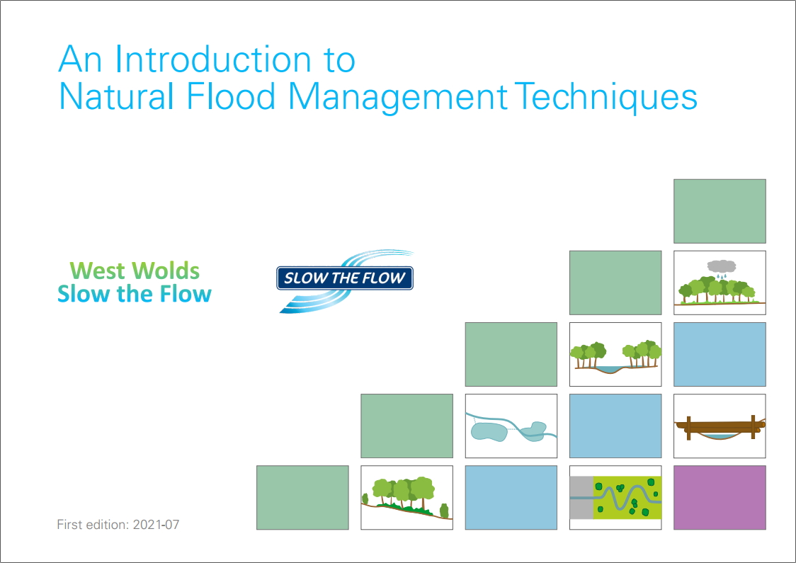Introduction to Natural Flood Management Techniques