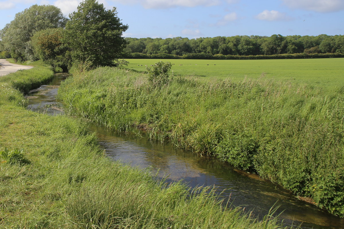 Mires Beck, looking like a classic chalk stream